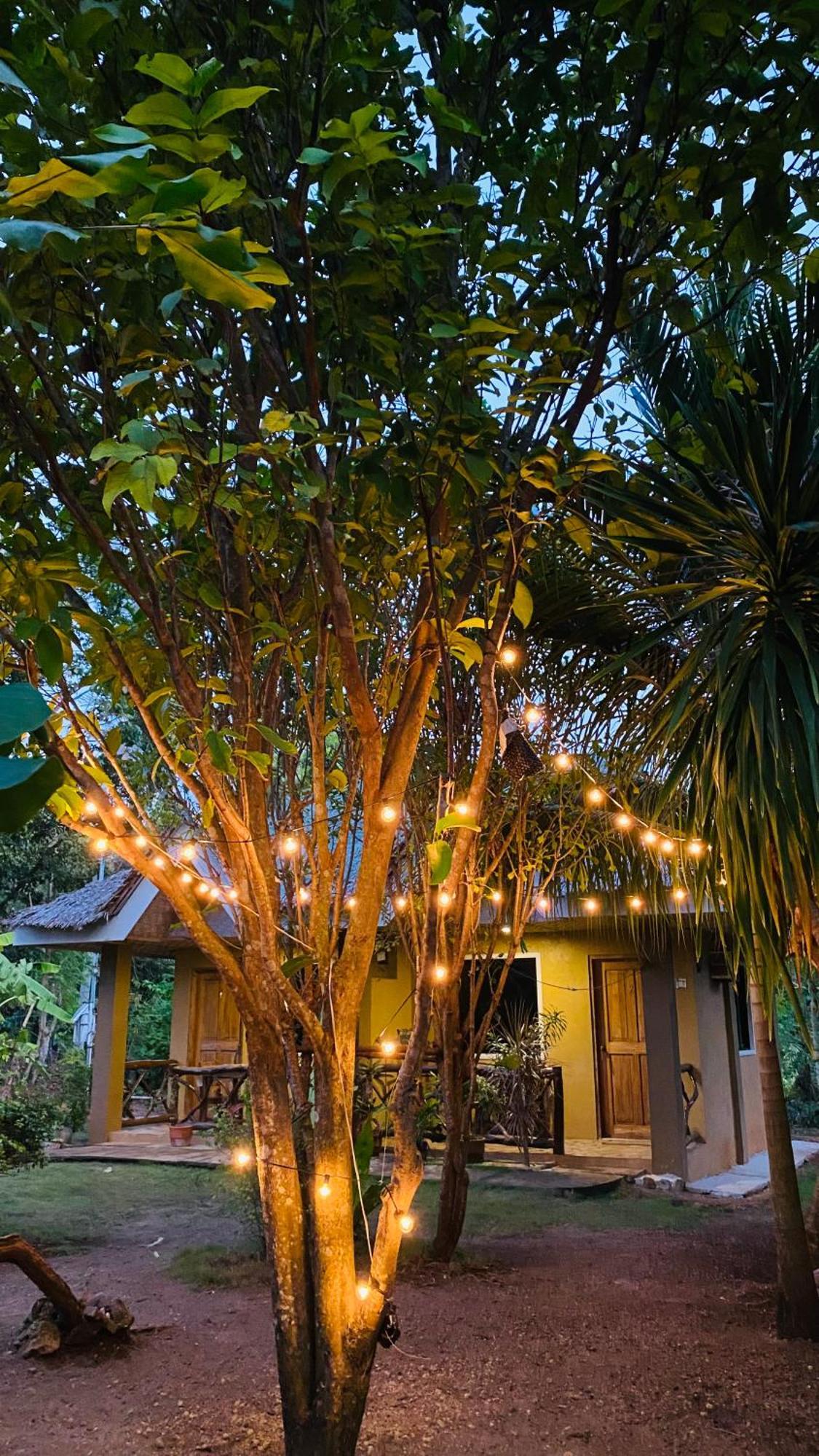 Miki'S Guest House 锡基霍尔 外观 照片