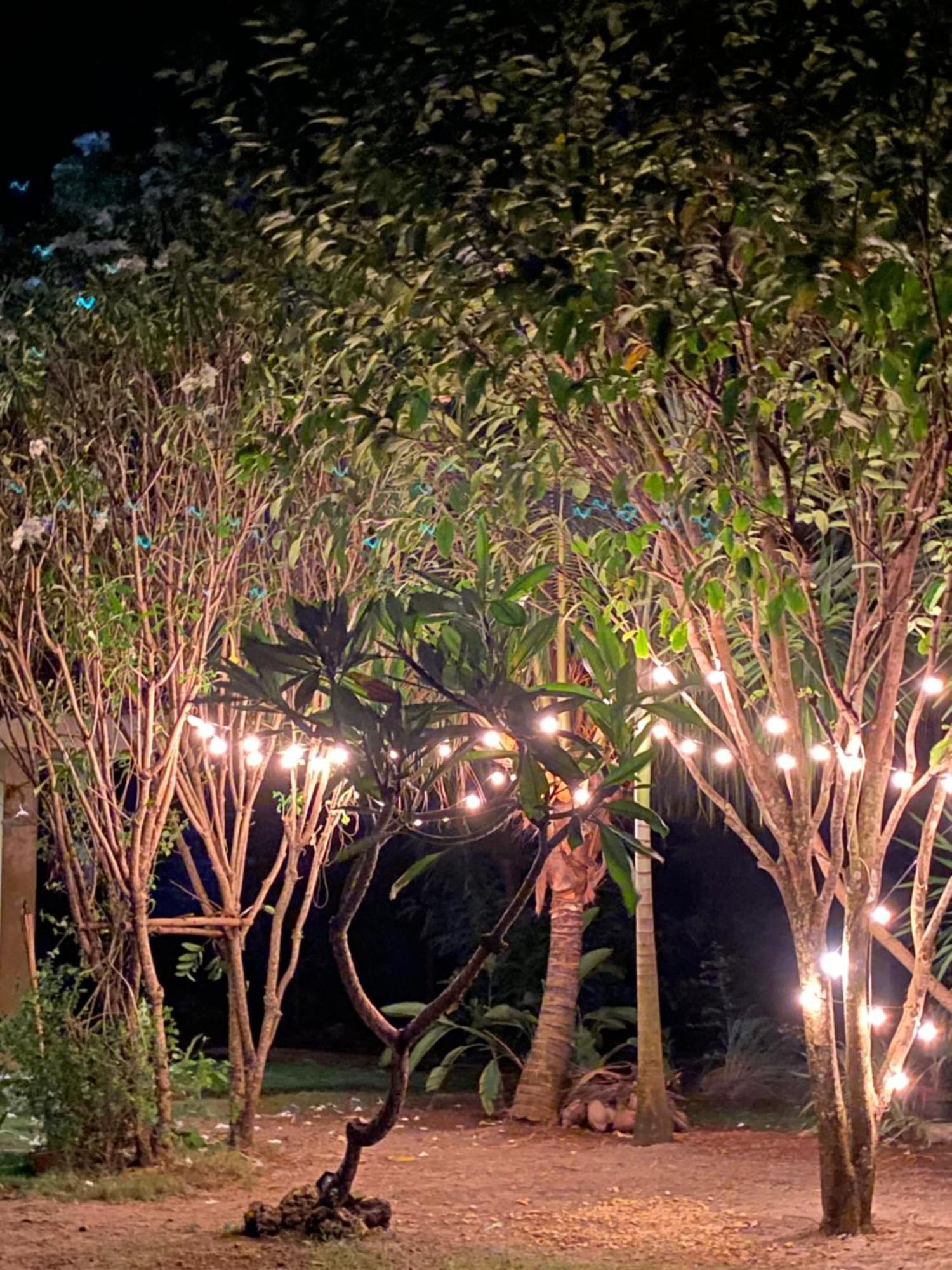 Miki'S Guest House 锡基霍尔 外观 照片