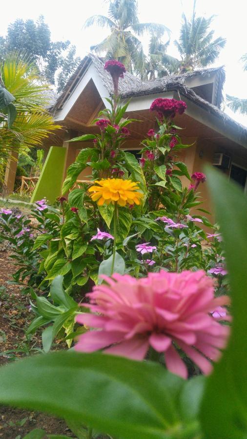 Miki'S Guest House 锡基霍尔 外观 照片